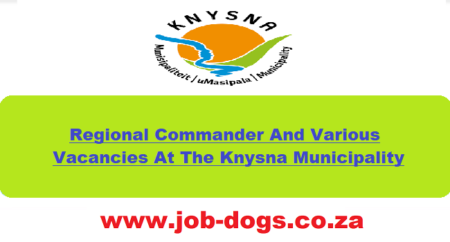 Jobdogs.co.za Government Vacancies 2024 South Africa 2024 - Jobdogs Co ZA